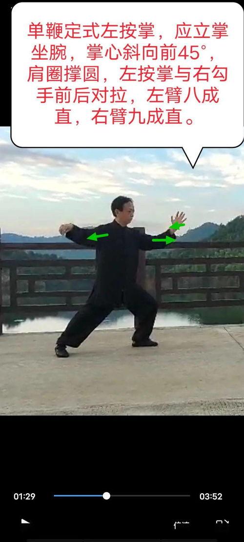 杨氏太极拳40式视频,传承经典，动静相宜的养生之道