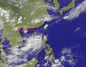 苗柏视频,揭秘神秘生物的奇幻之旅